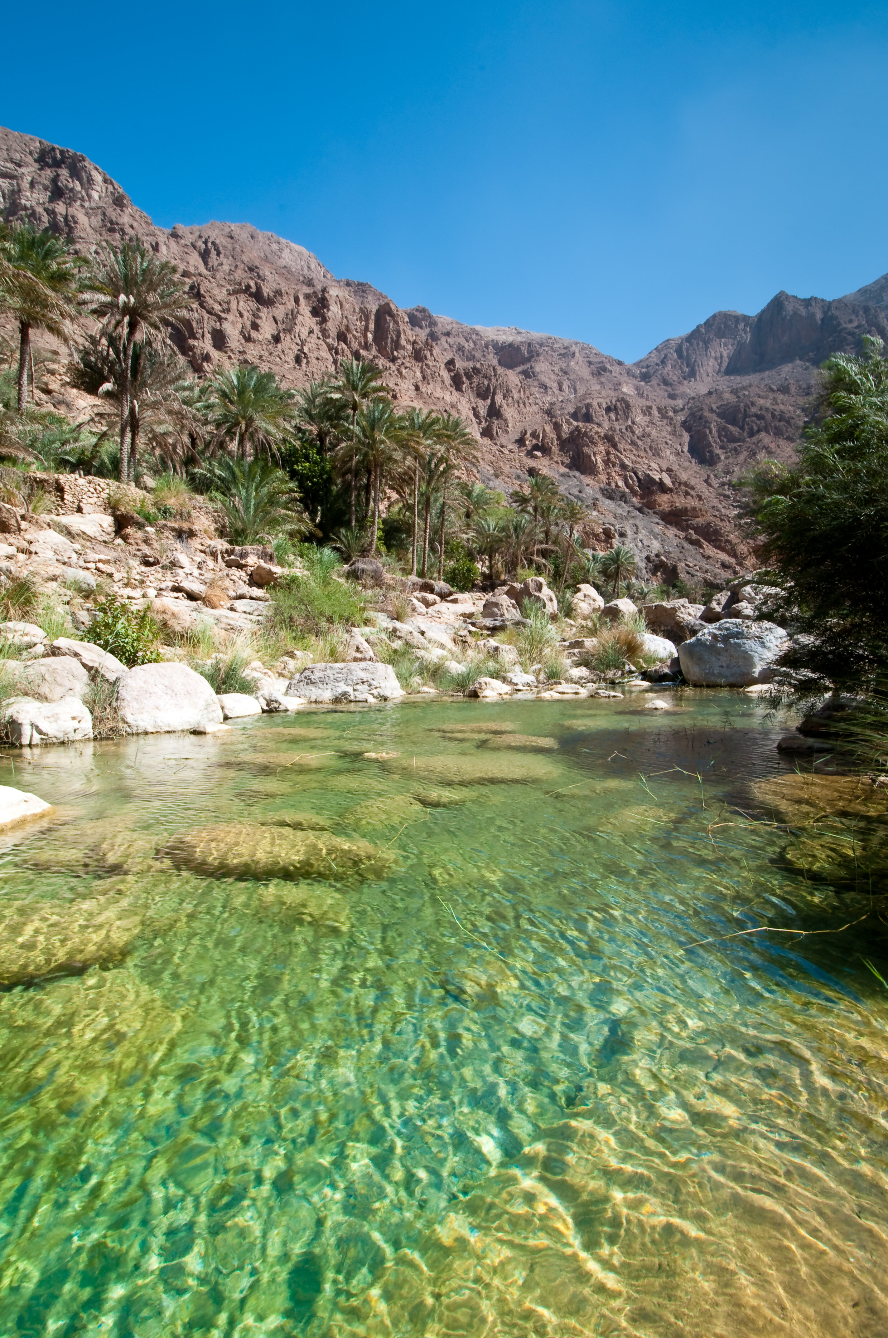 واحات عمان